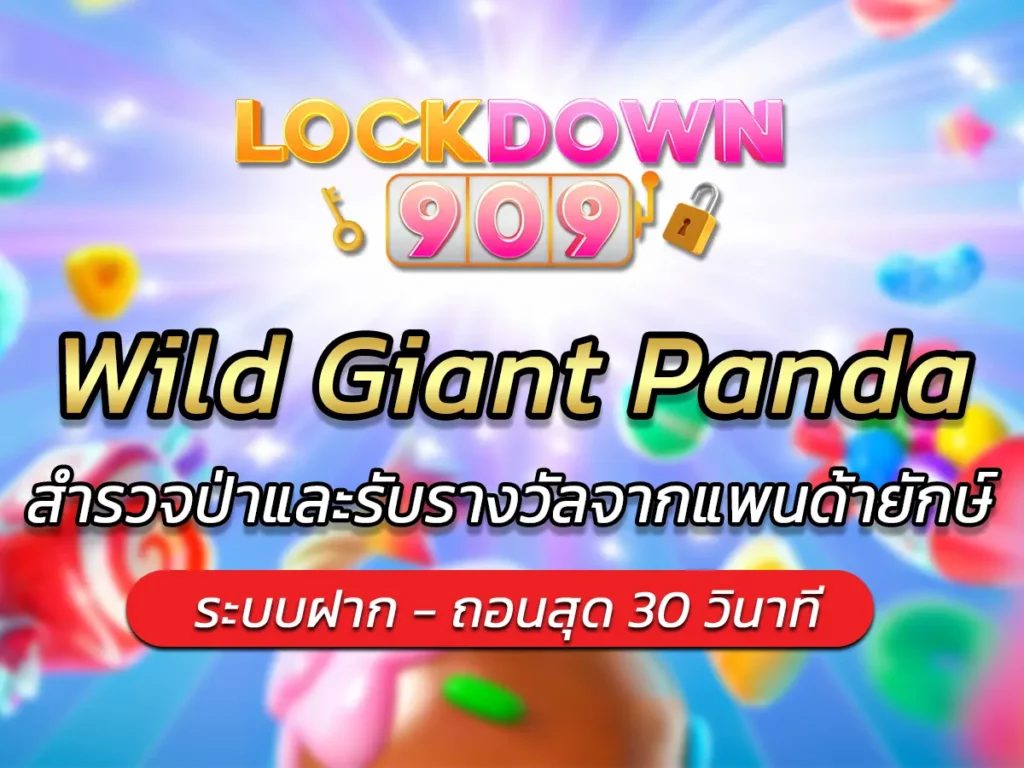 Wild Giant Panda